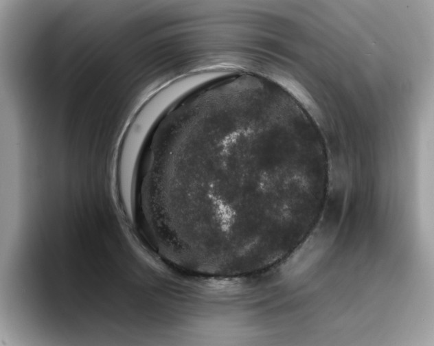 X0000094950850200711291412