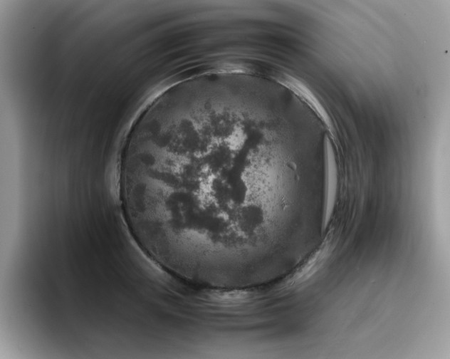 X0000094950851200711291412