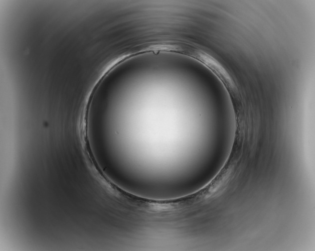 X0000094950852200711291412