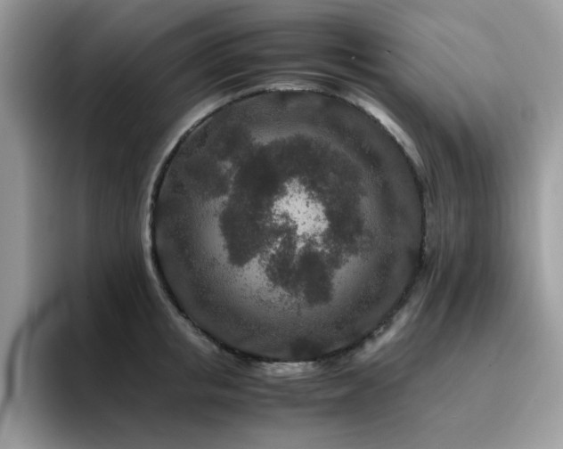 X0000094950853200711291412
