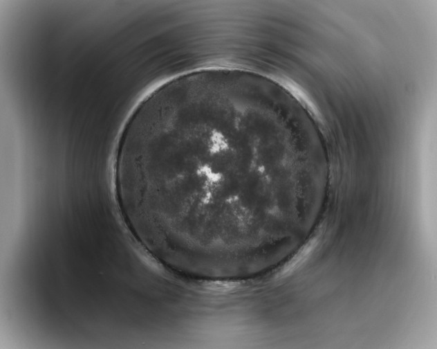 X0000094950854200711291412