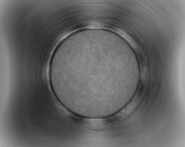X0000094950856200711291412