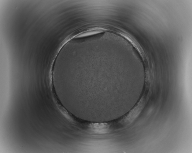 X0000094950858200711291412