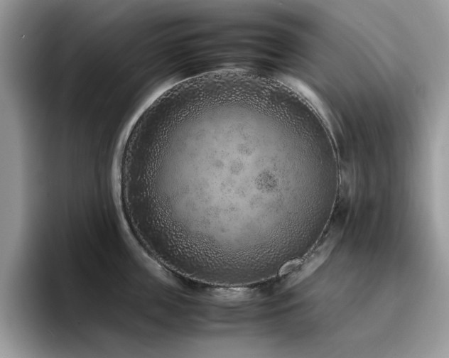 X0000094950859200711291412