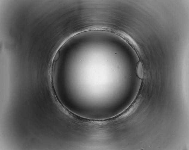 X0000094950860200711291412
