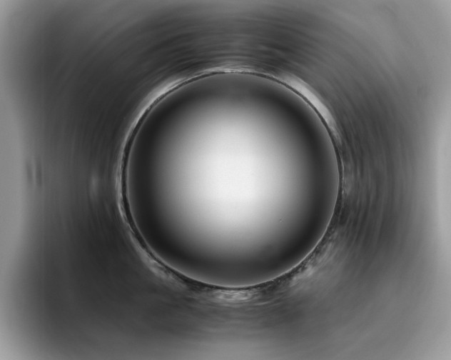 X0000094950861200711291412