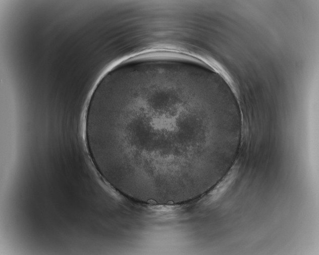 X0000094950862200711291412