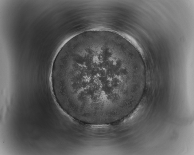 X0000094950863200711291412