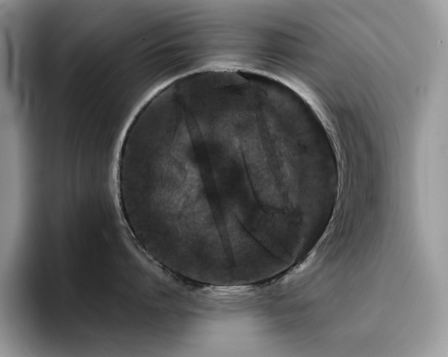 X0000094950864200711291412