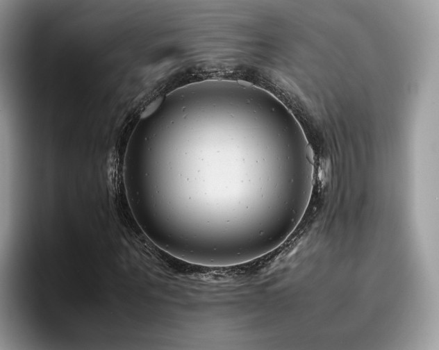 X0000094950867200711291411