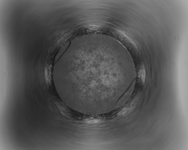 X0000094950868200711291411