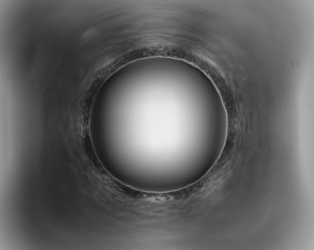 X0000094950869200711291411
