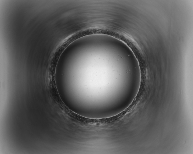 X0000094950872200711291411