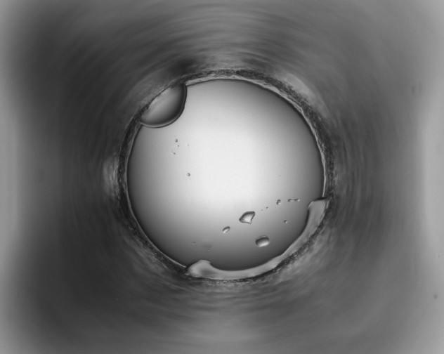 X0000094950873200711291411