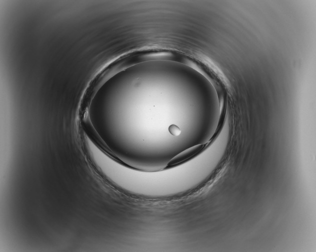 X0000094950876200711291411