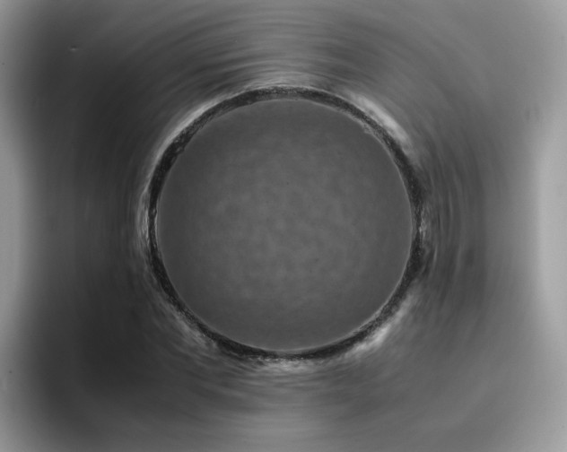 X0000094950877200711291411