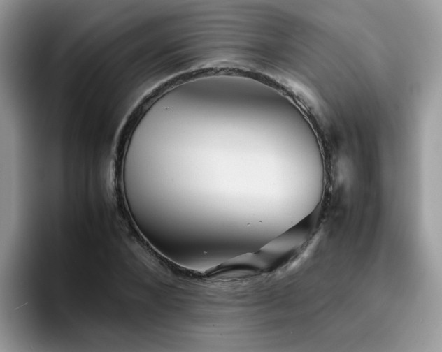 X0000094950880200711291411