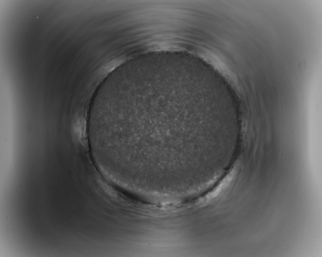 X0000094950881200711291411