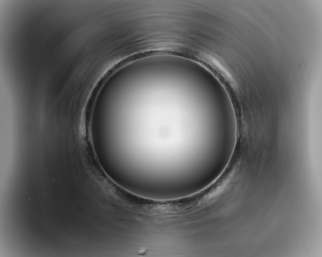 X0000094950883200711291411