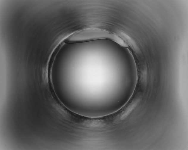 X0000094950884200711291411