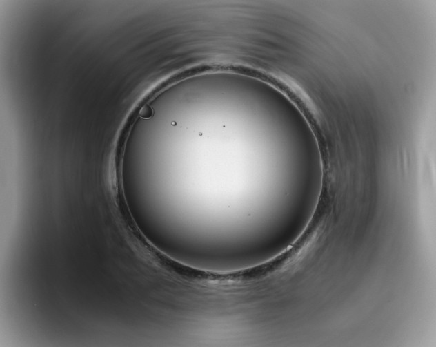 X0000094950887200711291411