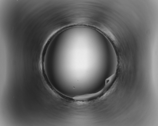 X0000094950888200711291411