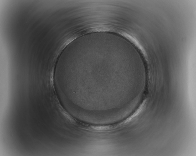 X0000094950889200711291411