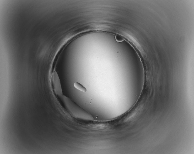 X0000094950891200711291411