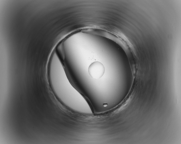 X0000094950892200711291411