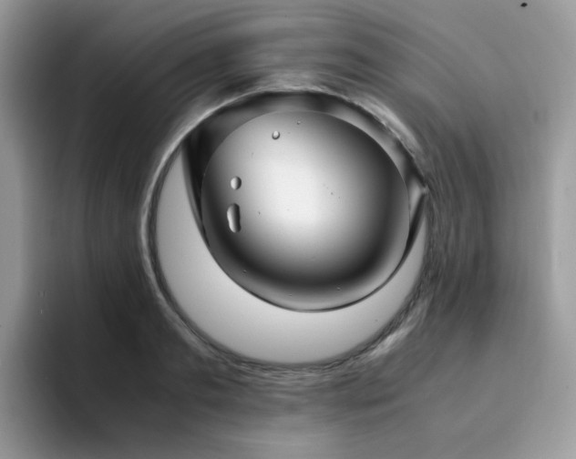 X0000094950893200711291411