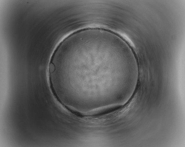 X0000094950895200711291411