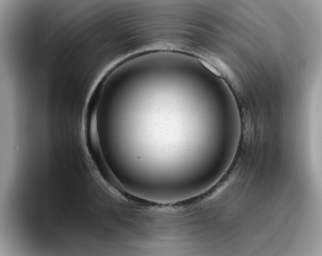X0000094950896200711291411
