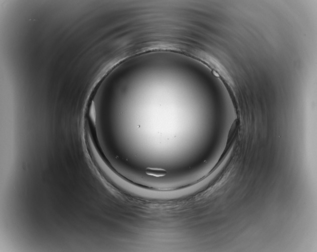 X0000094950898200711291411