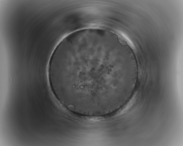 X0000094950899200711291411