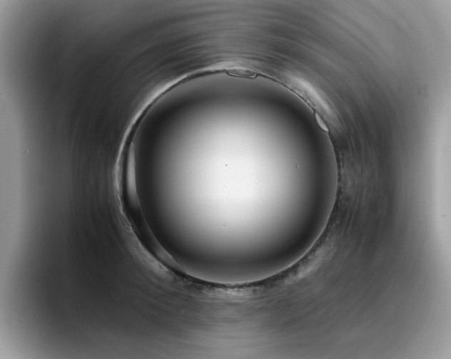 X0000094950900200711291411