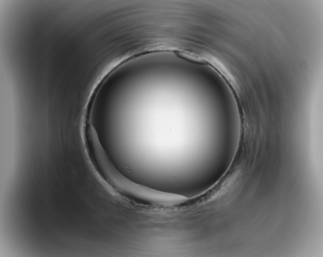 X0000094950901200711291411