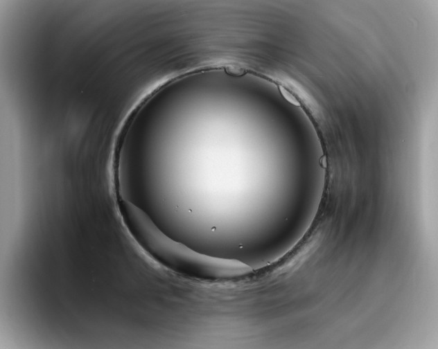 X0000094950902200711291411