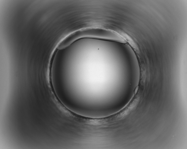 X0000094950904200711291411