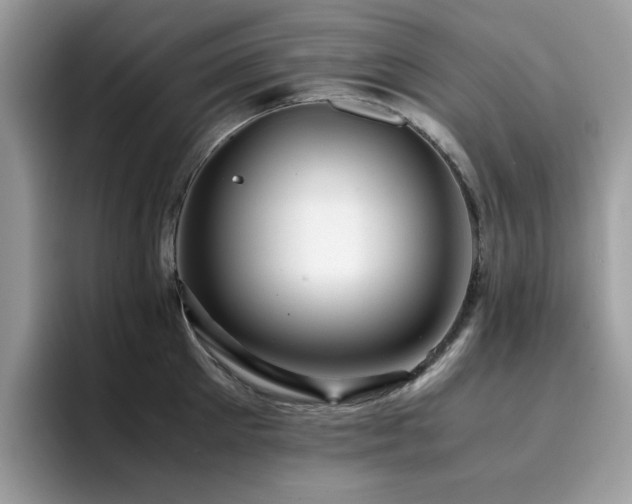 X0000094950905200711291411