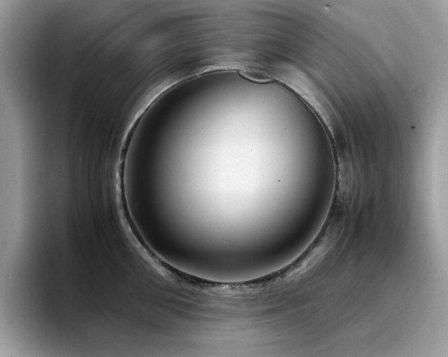X0000094950906200711291411