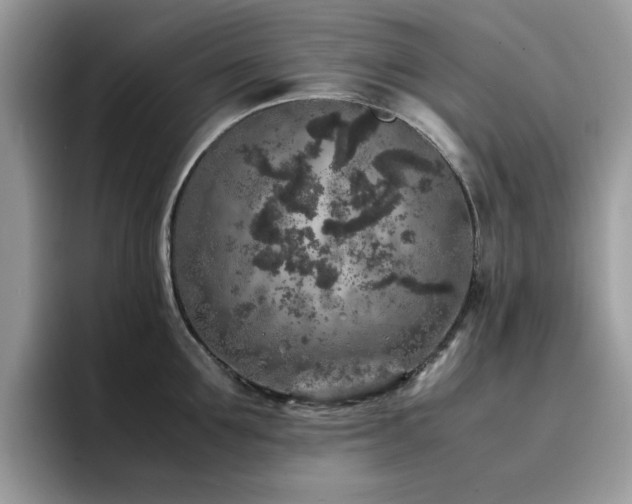 X0000094950907200711291411