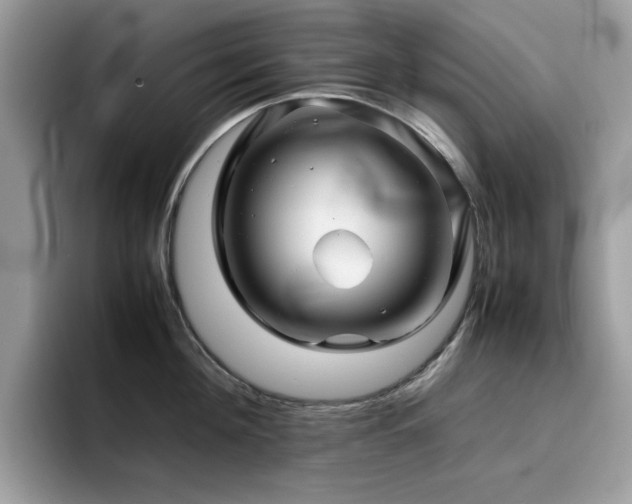 X0000094950908200711291411