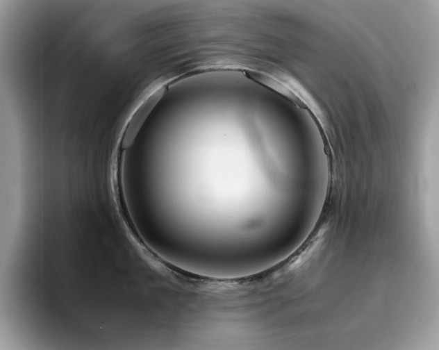 X0000094950909200711291411