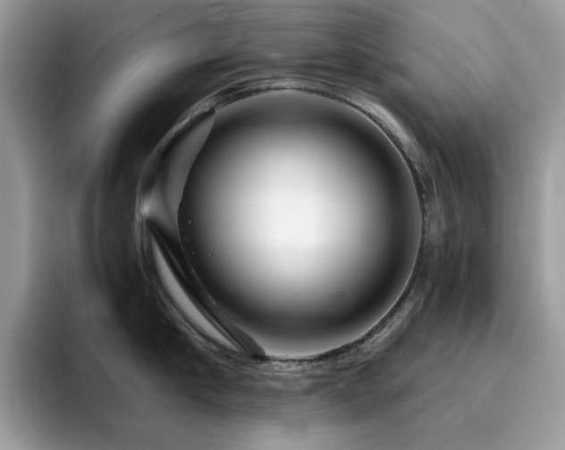 X0000094950910200711291411