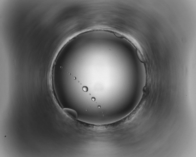 X0000094950911200711291411