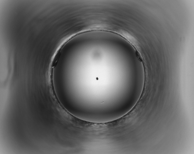 X0000094950912200711291411
