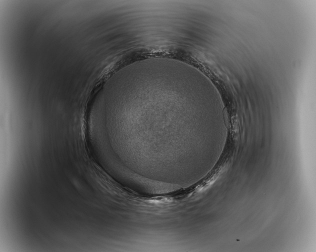 X0000094950916200711291410