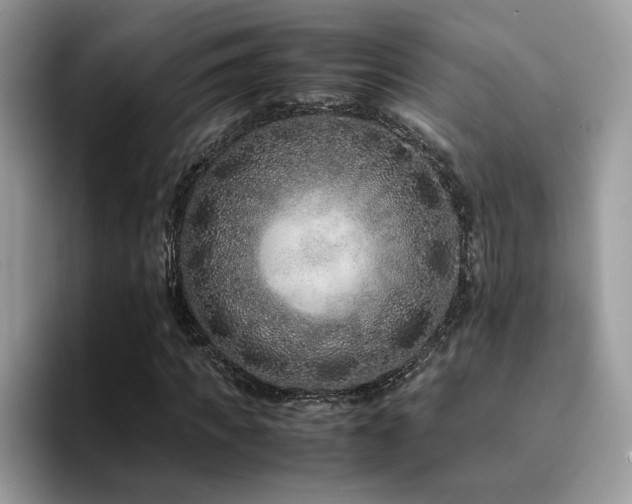 X0000094950917200711291410