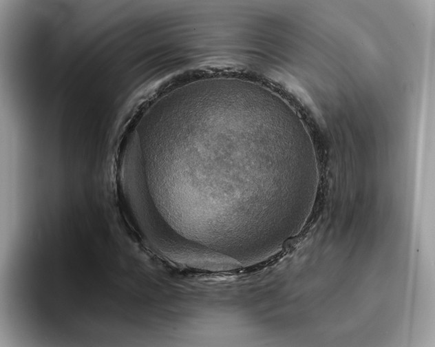 X0000094950920200711291410