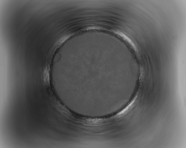 X0000094950921200711291410
